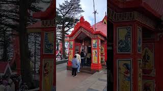 Jakhu Temple Shimla shimlabeauty shimlanews shimla shimlas live [upl. by Ahselat]