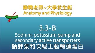 🛶大學救生艇🛶 33 B Sodium potassium pump and secondary active transporters 鈉鉀泵和次級主動轉運蛋白 [upl. by Nhguahs]