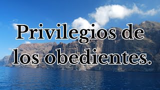 Privilegios de los obedientes Predicas Cristianas [upl. by Mailiw136]