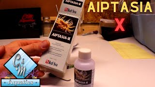 How to use aiptasia x [upl. by Sulecram]