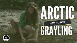 How to Fish for Arctic Grayling [upl. by Gizela]