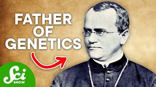 The Man Who Discovered Dominant amp Recessive Genes Meet Gregor Mendel [upl. by Novikoff]