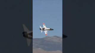 T38 Talon  Giant Scale TwinEDF High Speed Pass [upl. by Ennayhs]