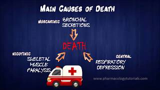 Toxicology of Acetylcholinesterase Inhibitors III  Management of Poisonings [upl. by Akemeuwkuhc]