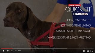 How to Fit Your Dogs Harness  EzyDog QuickFit Harness [upl. by Paz]