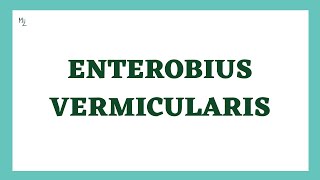 Enterobius Vermicularis  Pin Worms  Enterobiasis  Nematodes  Parasitology [upl. by Anyaj]