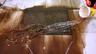 Ext Astounding muddy flooded carpet cleaning satisfying ASMR [upl. by Peednas]