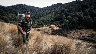 Sika Hunting  Kaweka Ranges  Te Puke Harkness amp Tussock Huts  September 2015 [upl. by Ysteb845]