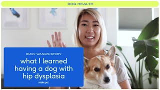 What I Learned Having a Dog with Hip Dysplasia [upl. by Bergstein235]