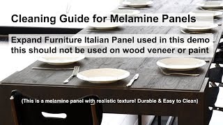 Guide Cleaning Melamine  Removing Permanent Marker and Deep Stains [upl. by Brina]