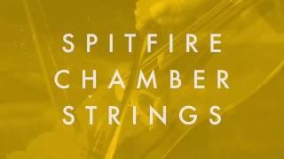 Spitfire Presents Spitfire Chamber Strings [upl. by Lladnor931]