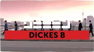 Seeed  Dickes B official Video [upl. by Mirabella]