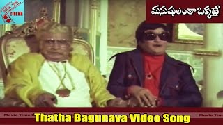 Thatha Bagunava Video Song  Manushulantha Okkate Movie  NTRJamuna  MovieTimeCinema [upl. by Filmer]