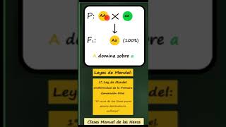 BIOLOGÍA  Genética mendeliana CICLO FREE [upl. by Otilegna267]