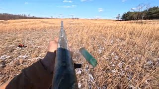 Pa Pheasant Hunting December 2023 [upl. by Ashton]