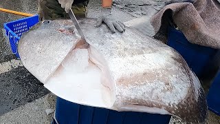 Amazing sunfish cutting skills  Homemade cooking Detailed video of Taiwanese sunfish cutting [upl. by Xam894]