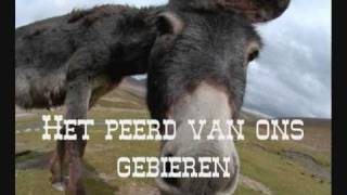 eir peerd  de fleksies [upl. by Gnoud]