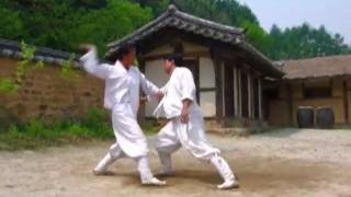 Taekkyeon a traditional Korean martial art [upl. by Assel]