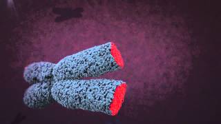 Telomere animation [upl. by Lleon]