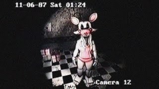 THESE FNAF VHS TAPES WILL MAKE YOU TERRIFIED [upl. by O'Rourke608]