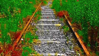 A visit to the old Athlone  Mullingar Railway Line [upl. by Jereld]