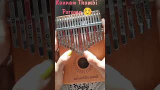 Kannam Thumbi Poramo  Kalimba shorts kalimba malayalamevergreensongs [upl. by Raouf]