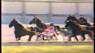 1985 NZ Trotting FreeForAll Addington Christchurch Admiral Soanai [upl. by Pestana]