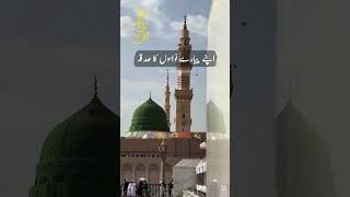 Tere Qurban Pyare Muhammad saw naat status  Rabi ul awal 2024  rohani book  mbq [upl. by Annahsed295]