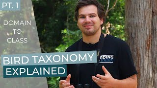 Bird Taxonomy Explained  Part 1 Domain to Class  BIRDING TODAY SPECIAL [upl. by Mikaela94]