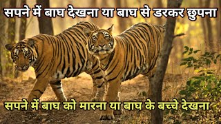 सपने में बाघ देखना या बाघ से डरकर छुपना  sapne me bagh dekhna dream in tiger meaning [upl. by Ahsoet]