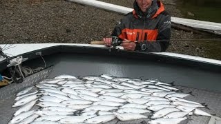 Cold Weather Takedowns  Winter Kokanee Fishing [upl. by Leinehtan]