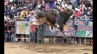 RANCHO EL GUAMÚCHIL PRIMER JARIPEO EN ERONGARICUARO MICHOACÁN 07 DE ENERO 2024 [upl. by Galligan287]