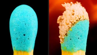 Microscopic View of a Burning Match [upl. by Shwalb107]