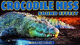 Crocodile Hiss Sound Effect [upl. by Noled]