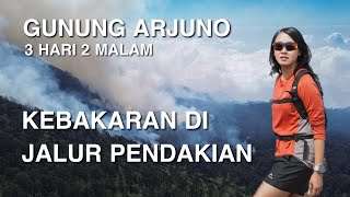 PENDAKIAN GUNUNG ARJUNO via SUMBER BRANTAS CANGAR  KEBAKARAN DI GUNUNG [upl. by Panchito173]