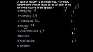 Chromosome number and ploidy mutations [upl. by Harras]