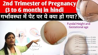 Pregnancy during 2nd trimester  Quickening primary areola fundus height ballottement etc [upl. by Laud]