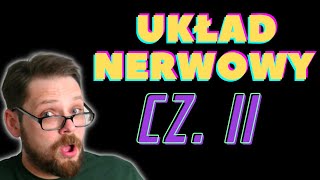 Układ nerwowy 2 Rdzeń kręgowy i Obwodowy układ nerwowy Druga część opowieści o układzie nerwowym [upl. by Mafalda]