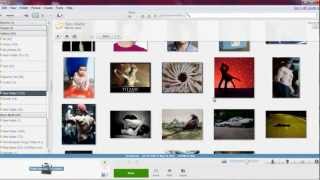 How To Add Text To Image In Picasa 3 [upl. by Eohce449]