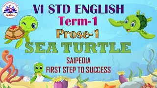 Sea Turtle 6th std English Term 1 Prose 1 TN Samacheer Kavi new syllabus [upl. by Nyltak]