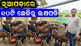 ୧୦ଟି ଛେଳିରୁ ଏବେ ଲକ୍ଷପତି  how to start Goat farm in village EfarmingOdisha [upl. by Brinkema35]