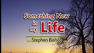 Something New In My Life  Stephen Bishop KARAOKE VERSION [upl. by Keil]