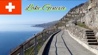 LAVAUX SWITZERLAND one of the most stunning view in the world  Lake sorrounded by mountainampvineyard [upl. by Anastasius]