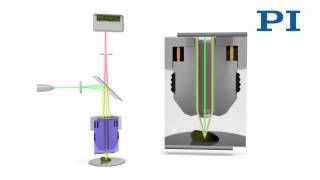 Confocal Microscopy [upl. by Fields]