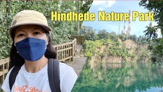 HINDHEDE NATURE PARK  BUKIT TIMAH NATURE RESERVE  WALKING TOUR  8K [upl. by Llenrep235]