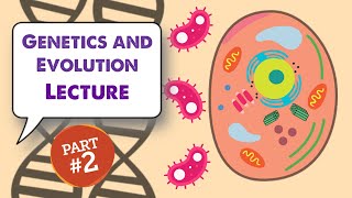 MCAT Biology Lecture Genetics and Evolution 22 [upl. by Nirtak672]