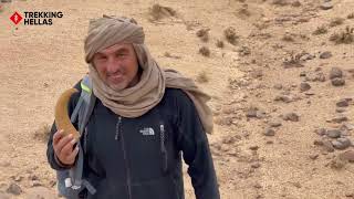 Sahara  Trekking Hellas [upl. by Eiduam]