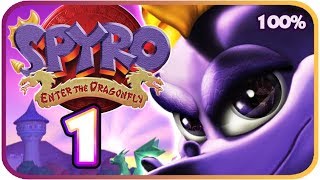 Spyro Enter the Dragonfly Walkthrough Part 1 Gamecube PS2 100 Intro  Dragon Realms [upl. by Zadack]