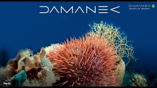 Damanek  CROWN OF THORNS SEA SONGS Pt 2 from quotMaking Shorequot [upl. by Francine]