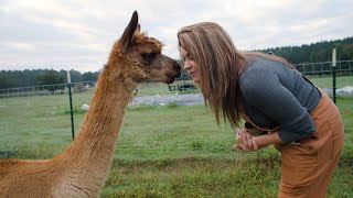 The Animals of Roots amp Refuge Farm [upl. by Favien67]